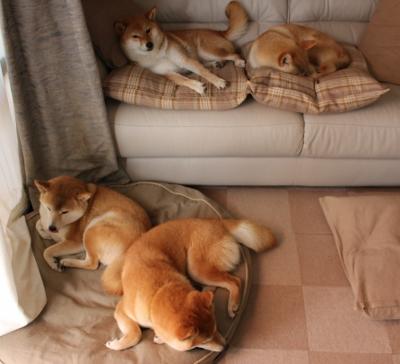 【青训故事】新一代“丁俊晖”成长路上的艰辛与坚持，丁俊晖的成长历程