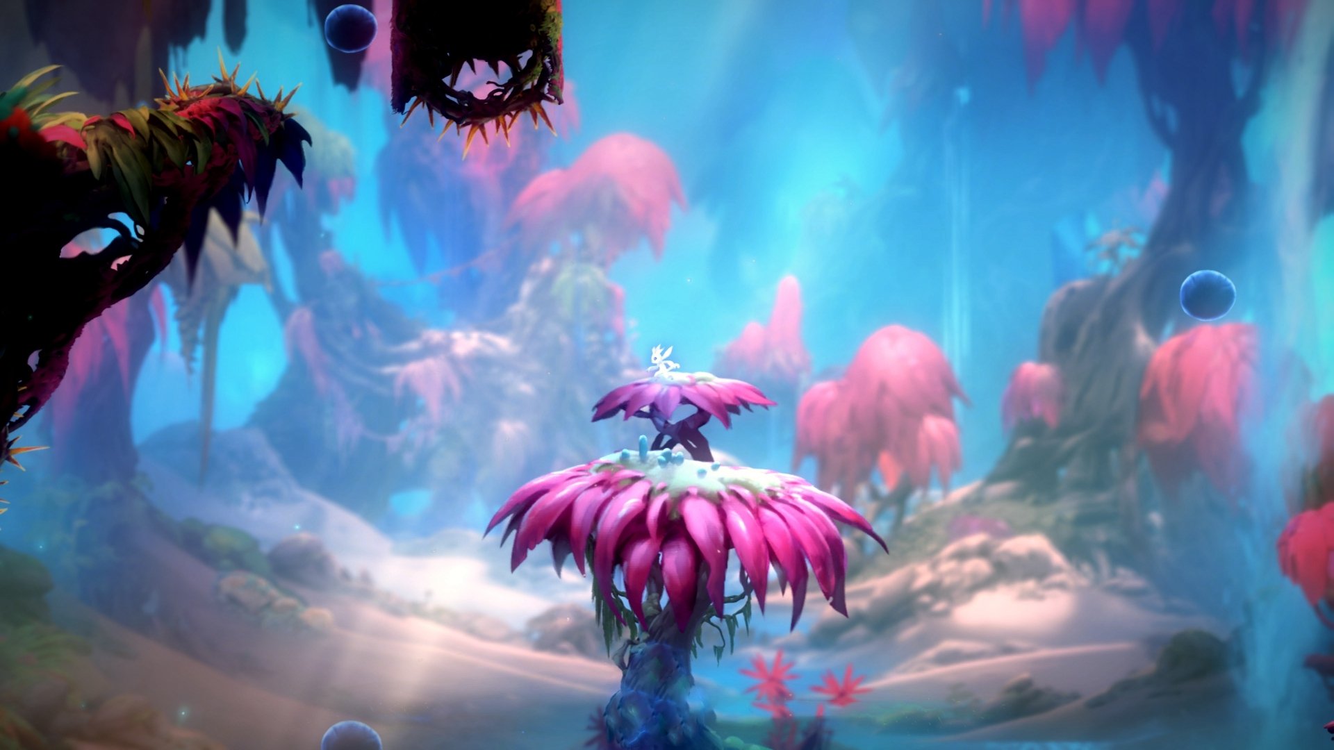 巴西男足主帅：未能晋级是“巨大的失望”，巴西 男足