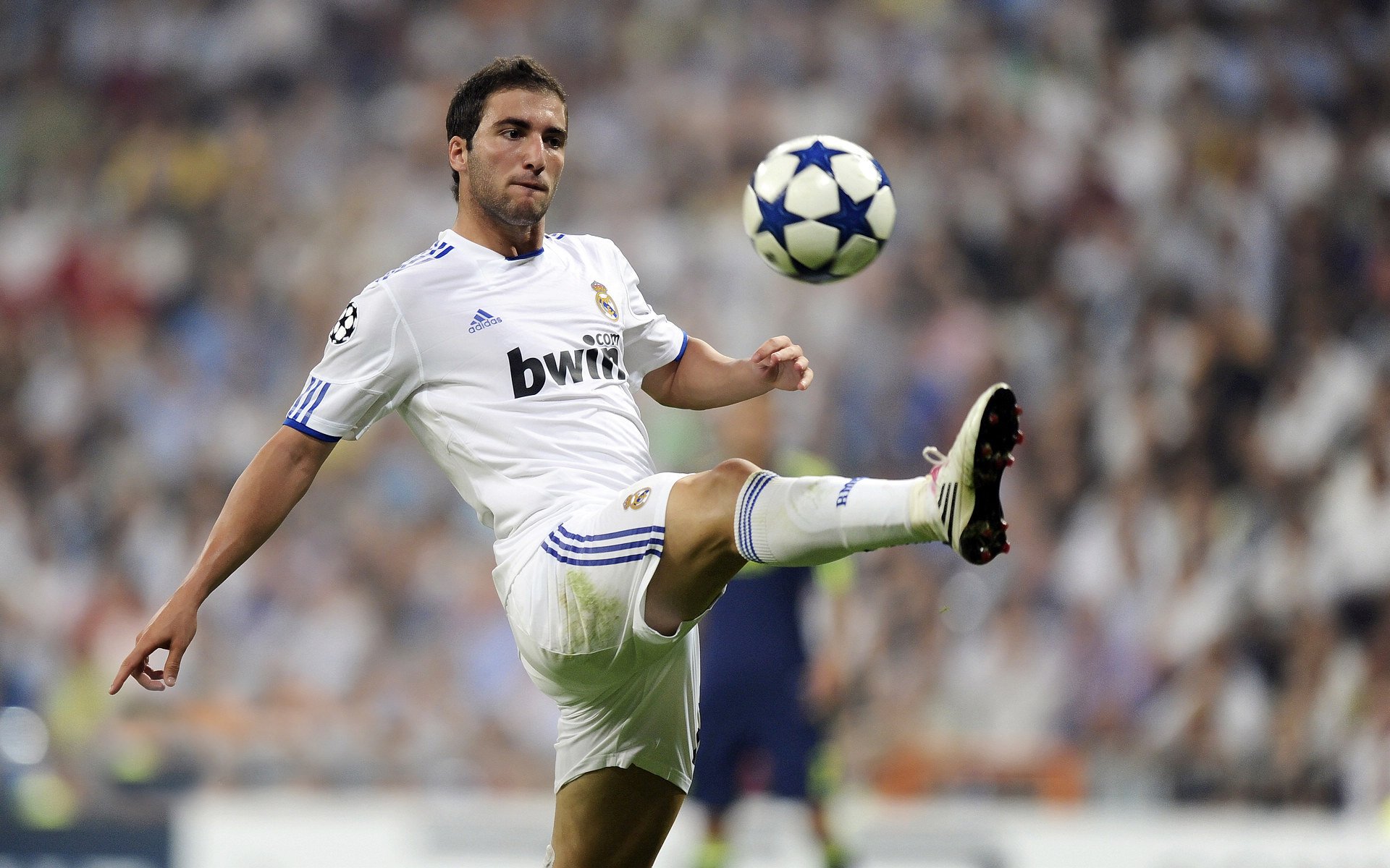 KAIYUN 中国大陆-陈佳首秀惊艳全场，陈佳 1982