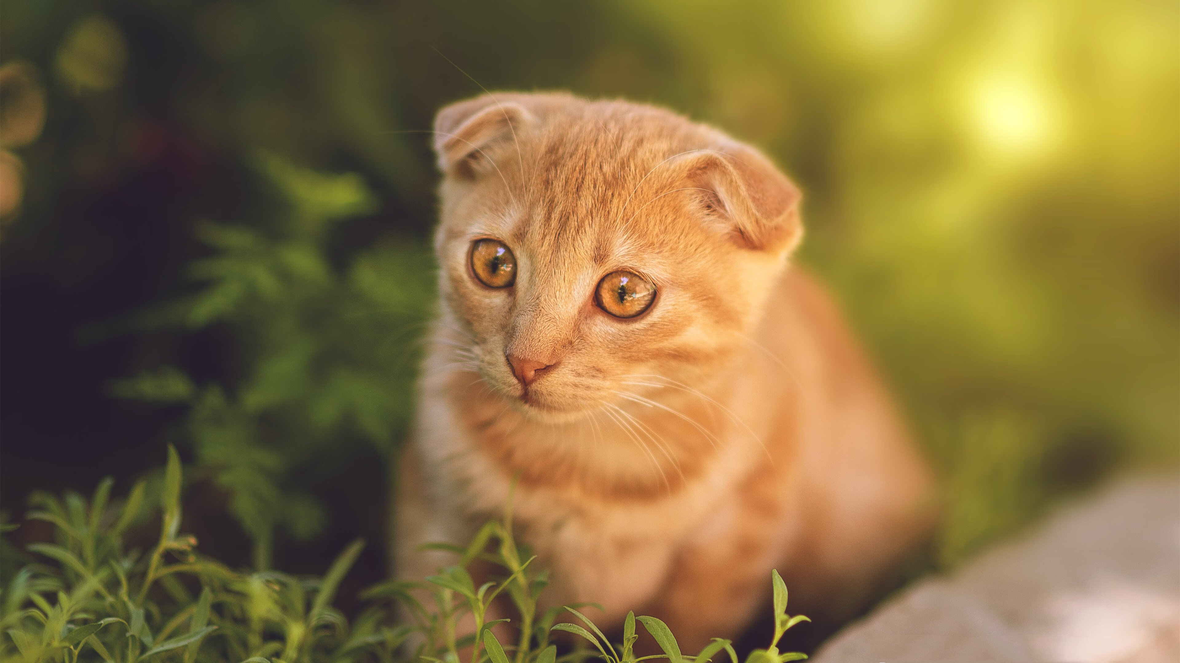 开云官方-_篮网攻势凌厉，继续领跑联盟_，篮网完成