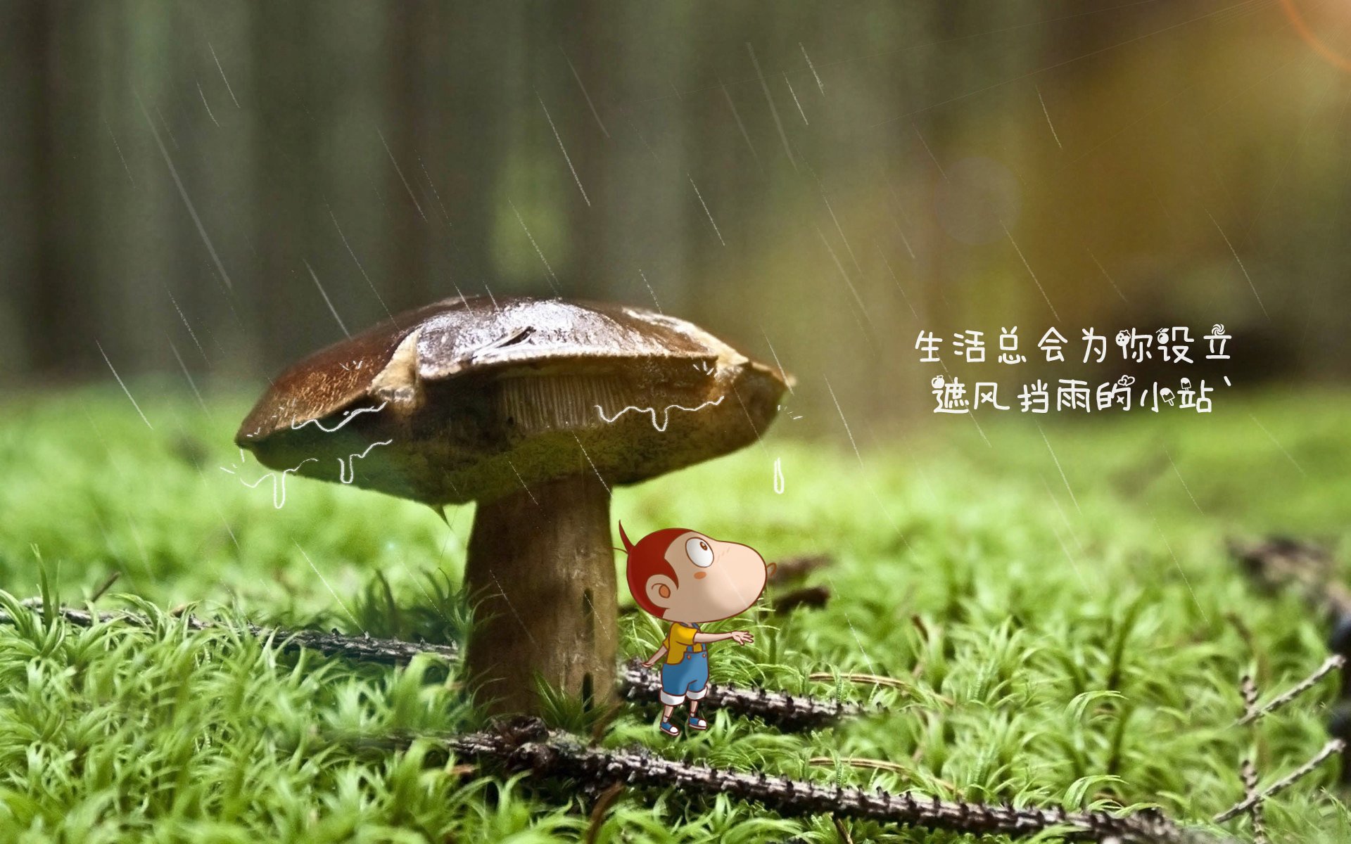 “英超场面火爆,球迷热情高涨”,zaker 英超
