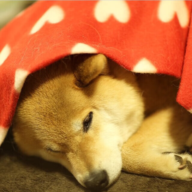 【创新规则试点效果】比赛更快更公平，吸引更多年轻观众，以创新和规则为话题