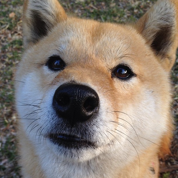 【创新规则试点效果】比赛更快更公平，吸引更多年轻观众，以创新和规则为话题