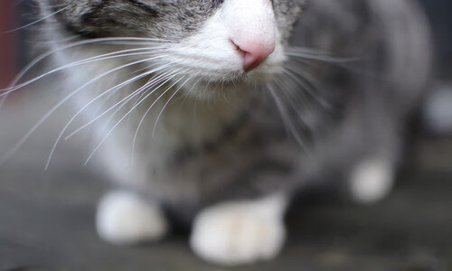 【比赛瞬间】奥沙利文：罚分扭转乾坤的经典瞬间，奥沙利文最经典的比赛